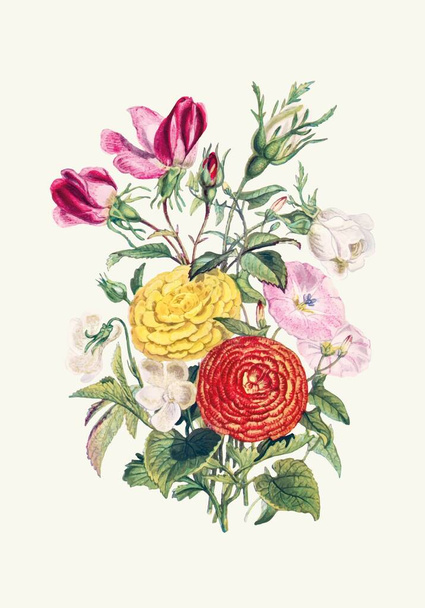 Botanická akvarel vintage nástěnný vektor umění. Abstraktní výtvarné pozadí s listy a akvarelem ruční malba design pro nástěnný dekor, plakát a tapety - Vektor, obrázek