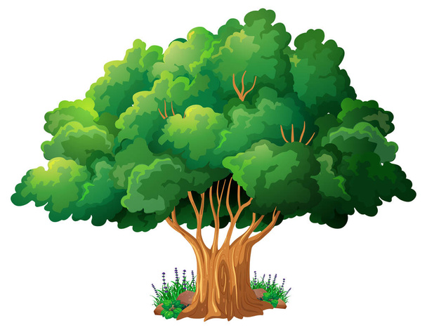 Big tree isolated cartoon illustration - Vector, Image