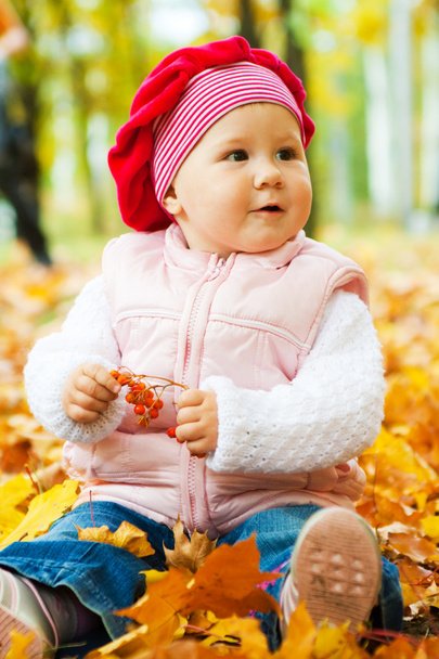 Baby in autumn leaves - 写真・画像