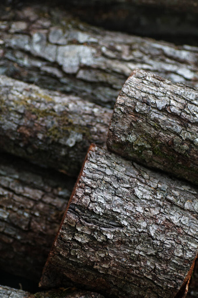 Pozadí textura řeziva dřevěné kmeny zavřít. - Fotografie, Obrázek