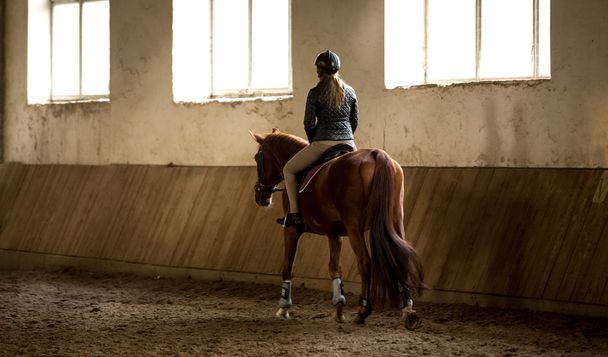 馬術学校で乗馬をしている女性 - 写真・画像