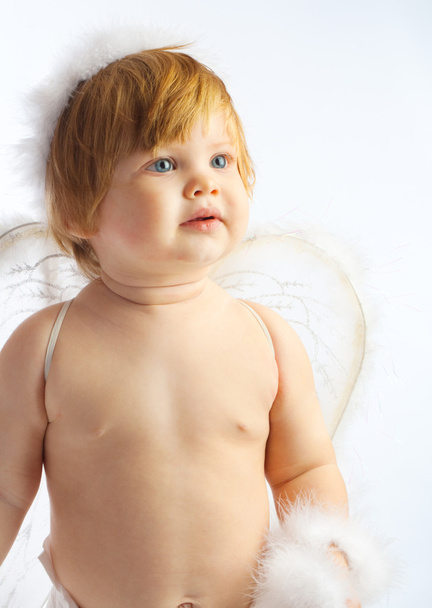 Baby angel - Foto, imagen