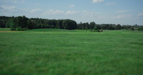 Golf fairway landscape view at country club outdoors. Grassy lash green meadow growing on magnetic lawn rural countryside scenery. Summer outdoor recreation time. No people nature relaxing concept. - Photo, Image