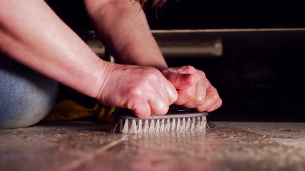 Жінка стискає брудну підлогу з щіткою середнього пострілу повільний рух вибірковий фокус
 - Кадри, відео