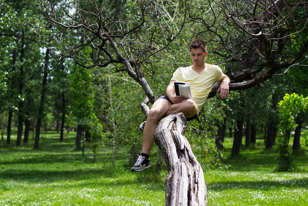Jonge man leest een boek over de boom in het park, voorjaar - Foto, afbeelding