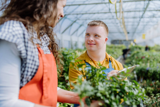 An experienced woman florist helping young employee with Down syndrome in garden centre. - Fotoğraf, Görsel