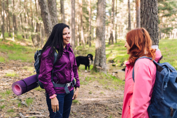 duas mulheres maduras falando na natureza com mochilas, trekking - conceito de viagem na natureza - - Foto, Imagem