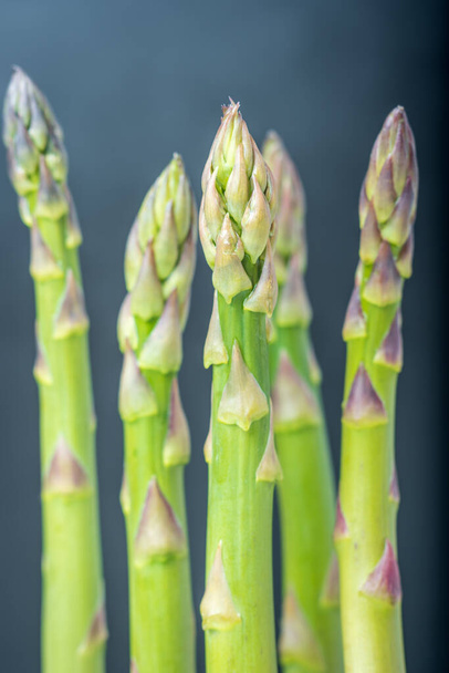 Fresh asparagus shoot over dark background. - Фото, зображення