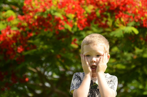 Portrait of a cute blond boy. A 5 year old child laughs in front of a blooming Delonix regia. Place for text. Emotions: surprise, joy, shock. - Fotó, kép