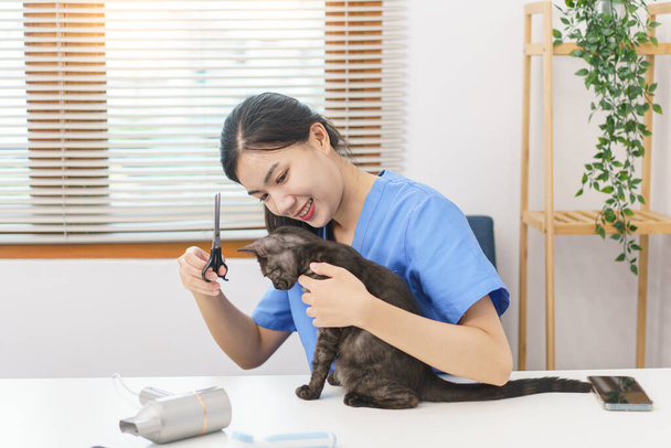 concepto de salón de mascotas, veterinario femenino usando tijeras para recortar la piel de gato en el salón. - Foto, Imagen