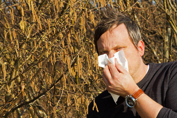 Człowiek z alergią na pyłki orzechów laskowych - Zdjęcie, obraz