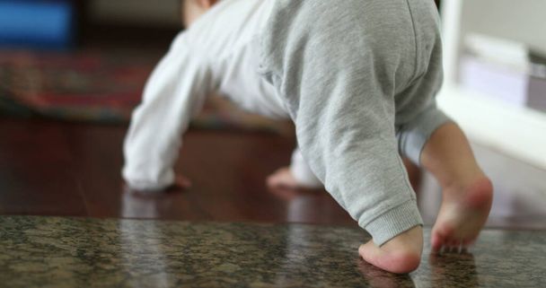 Cute baby crawling at home indoors on hardwood floor. Child infant development - 写真・画像
