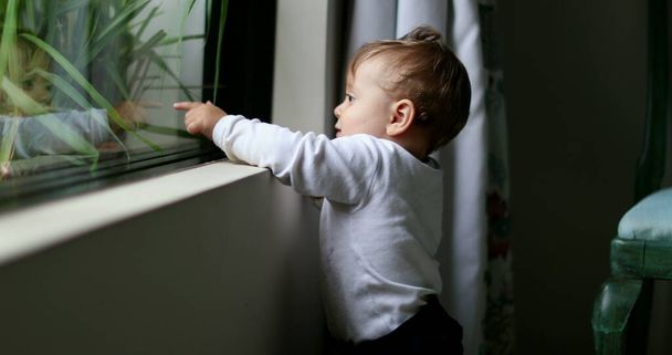 Cute baby boy leaning by window at home. Infant smiling portrait - Φωτογραφία, εικόνα