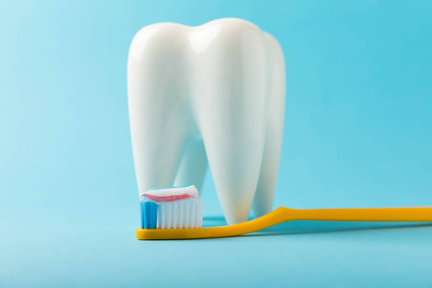 Model czyszczenia białego zęba ze szczoteczką do zębów na niebieskim tle. Koncepcja higieny jamy ustnej. Zapobieganie chorobom płytki nazębnej i dziąseł. - Zdjęcie, obraz