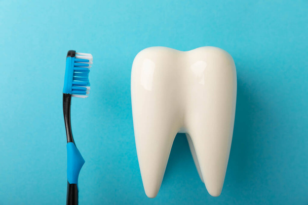 Модель чистки белого зуба с зубной щеткой на синем фоне. Концепция гигиены зубов. Превенция кариеса и жвачки. - Фото, изображение