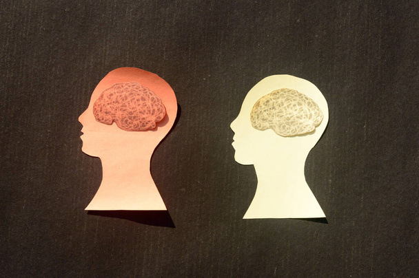 Dos personas cerebro humano aislado dentro de la cabeza humana. Ilustración de papel. Sentimientos de aislamiento y conceptos de salud mental. - Foto, Imagen