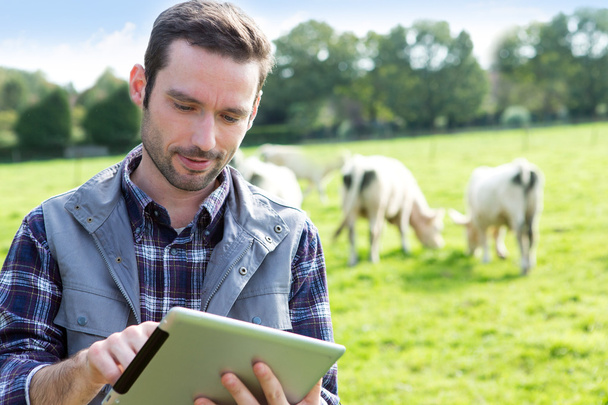 Young attractive farmer using tablet in a field - Фото, изображение