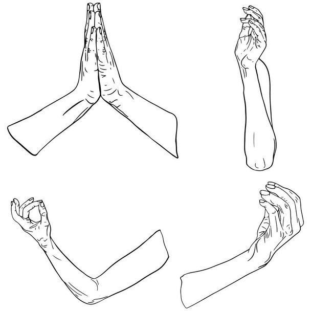 Illustrazione anatomica vettoriale. Set di mani, gesti, isolati su sfondo bianco. Disegno vuoto per designer, cartolina, logo del letto, icona, dettagli, astrazione - Vettoriali, immagini
