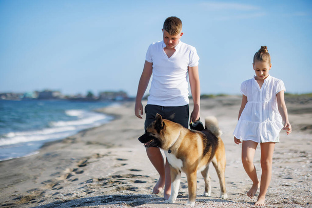 Cheerful friendly brother and sister in light comfortable clothes are walking and with their big fluffy dog of Akita Inu breed, along sandy wild coast along Black Sea in sunny summer weather - Fotó, kép