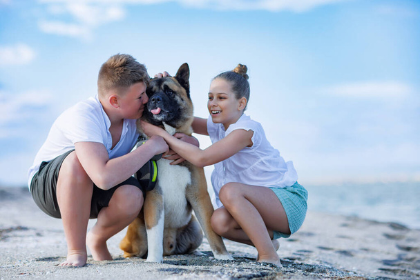 Cheerful friendly brother and sister in light comfortable clothes hug and kiss their big fluffy dog of the Akita Inu breed, along the sandy wild coast along the Black Sea in summer sunny weather - Foto, Imagem