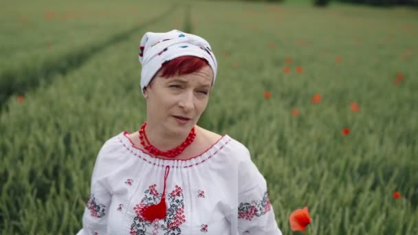 vrouw in Oekraïense nationale jurk op een bloeiende papaverveld. - Video
