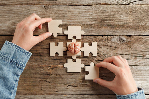 A psychologist is holding human brain and puzzle. Problem solving, help. Consultation and treatment of nervous diseases. - Fotó, kép