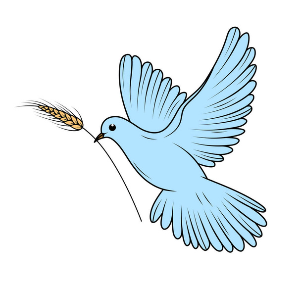 ピジョン。白い背景に鳩のイラスト。平和の象徴だ。空飛ぶ鳥. - 写真・画像