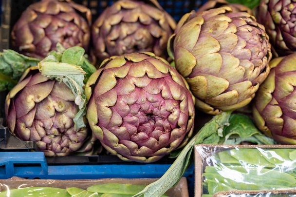 新鮮な有機アーティチョークの花の頭,市場で食用野菜紫ロマネスコアーティチョーク - 写真・画像