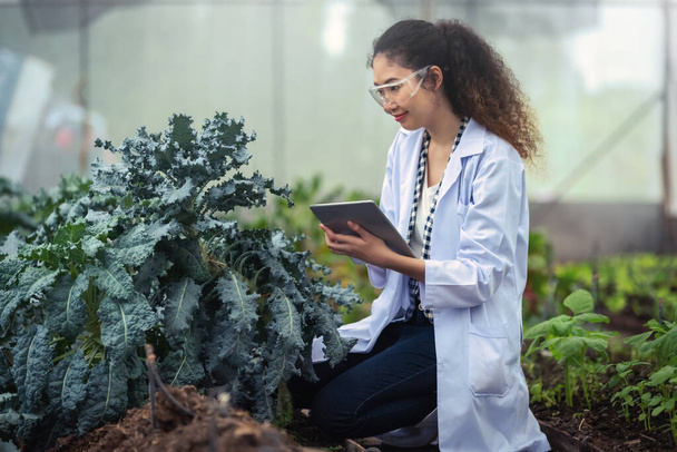 Retrato de mujer investigadora agrícola sosteniendo tableta mientras trabaja en investigación en plantación en invernadero industrial - Foto, Imagen