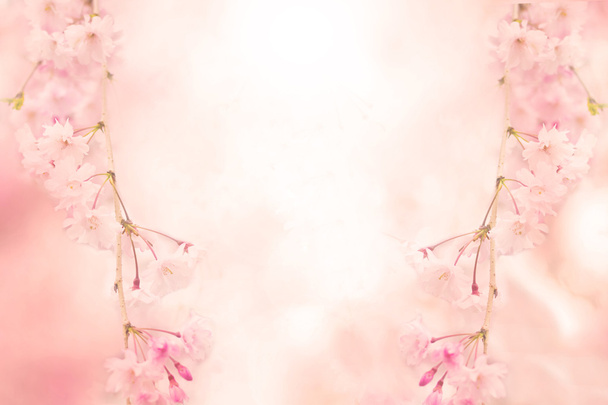 abstract roze bloem achtergrond - Foto, afbeelding