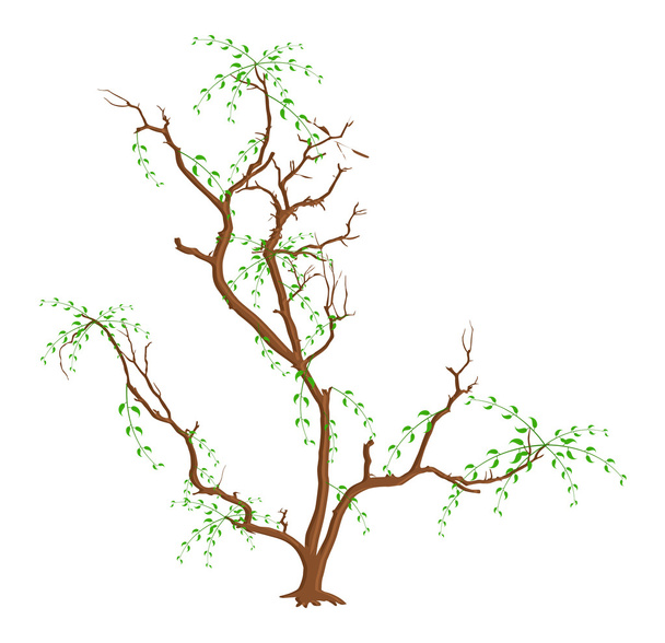 Alone Tree - Vector, Image