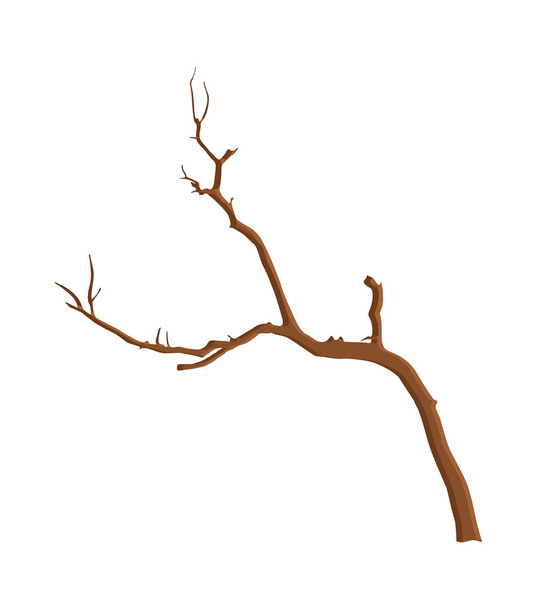 Dry Forest Tree - Vector, Image