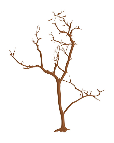 Dead Tree Background - Vector, Image