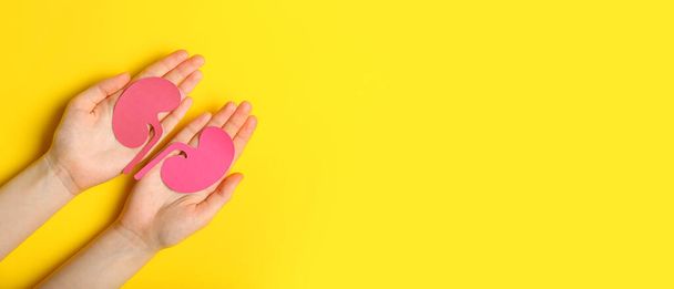 Χέρια και χάρτινα νεφρά σε κίτρινο φόντο με χώρο για κείμενο - Φωτογραφία, εικόνα