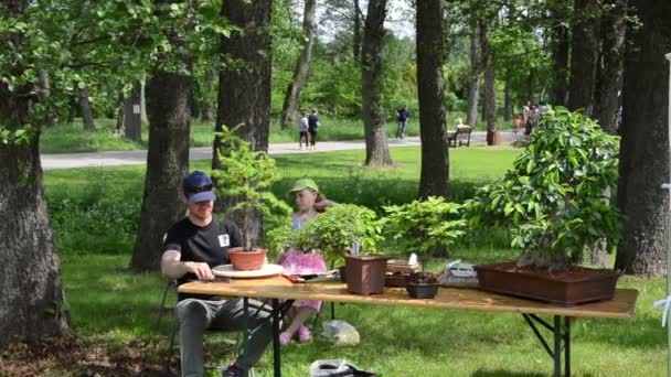 Mies hoitaa bonsai puu ja ihmiset katsovat kasveja myydään markkinoilla
 - Materiaali, video