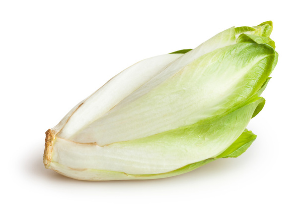 Chicory on white - Фото, изображение