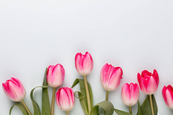 Pink tulip flowers on pastel background. - Foto, Imagem