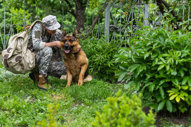 military meeting with a dog. - Foto, afbeelding