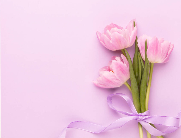 Pink tulip flowers on pastel background. - Foto, afbeelding