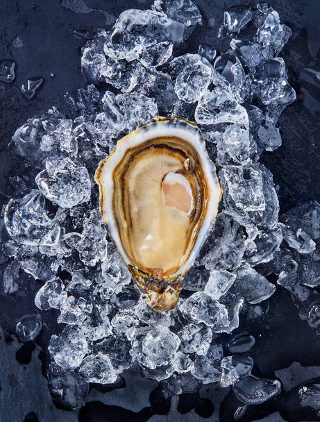 Open fresh raw oyster clams on ice isolated and ready to eat. - Fotoğraf, Görsel