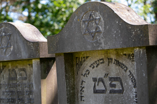 Den Helder, Κάτω Χώρες, Ιούνιος 2022. Παλιοί κατεστραμμένοι τάφοι στο εβραϊκό νεκροταφείο στο Ντεν Χέλντερ. Υψηλής ποιότητας φωτογραφία. Επιλεκτική εστίαση. - Φωτογραφία, εικόνα