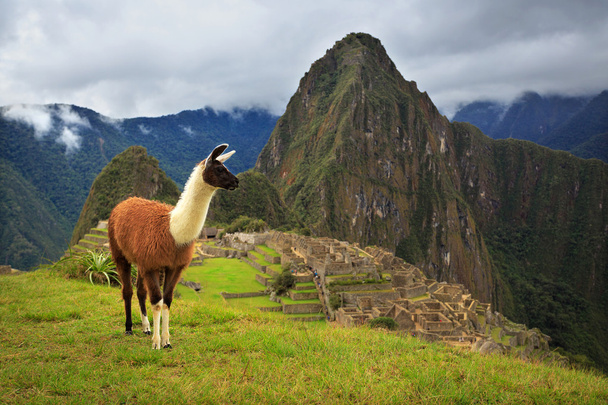 Machu Picchu, Peru, UNESCO World Heritage Site. One of the New S - Photo, Image