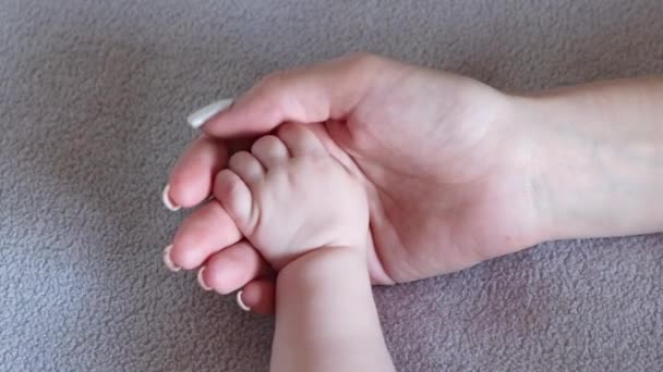 Mama houdt de hand vast van haar pasgeborene. Moeders liefde en zorg, bescherming van kinderen, adoptie, babyhood concept. - Video