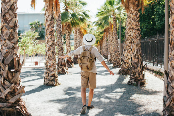 traveler walking through palm trees. High resolution photo - Photo, Image