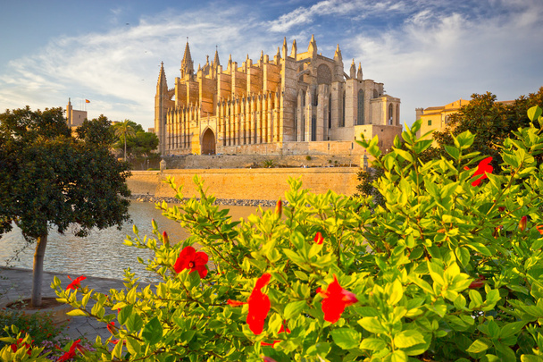 De kathedraal van Santa Maria van Palma de Mallorca, La Seu, Spanje - Foto, afbeelding