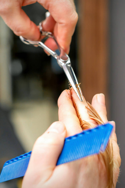 Haircut of red hair tips with comb and scissors by hands of a male hairdresser in a hair salon, close up - Photo, Image