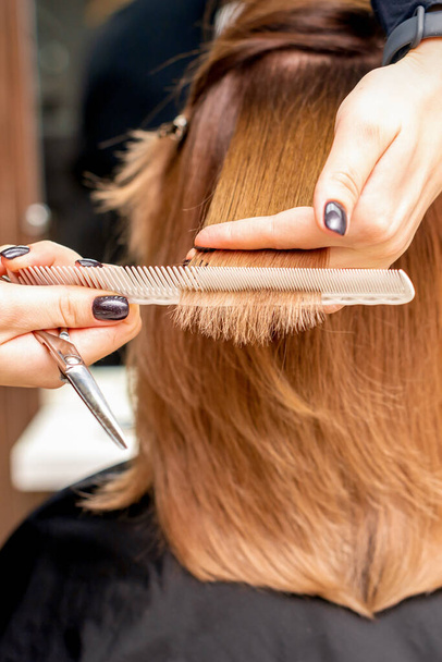 Friseurhände halten Haarsträhne zwischen den Fingern und machen Haarschnitt aus langen Haaren der jungen Frau mit Kamm und Schere im Friseursalon, Nahaufnahme - Foto, Bild