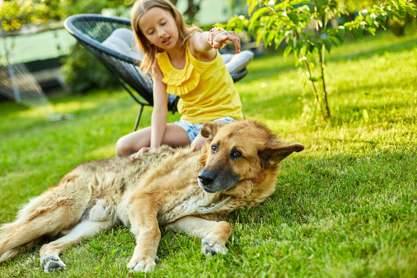 Linda chica y perro viejo disfrutar del día de verano en la hierba en el parque. Niños y animales en el patio trasero de casa, felices. Amor mascotas. - Foto, Imagen