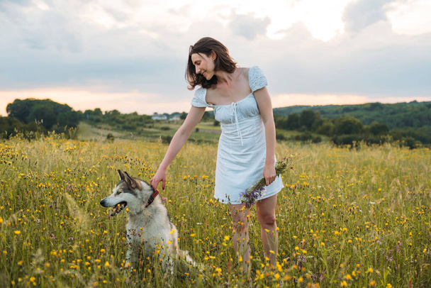 young cheerful woman in field with siberian husky dog - Fotoğraf, Görsel