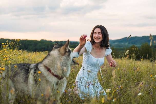young cheerful woman in field with siberian husky dog - Fotoğraf, Görsel
